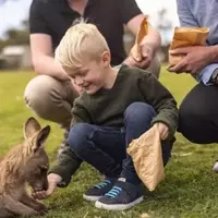 Tasmania: An Australian Family Adventure