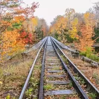 Experience New York's Autumn Splendor: A Unique Rail Biking Adventure