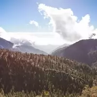 Holcomb Valley Ranch: California's Premier Forest Camping Destination for 2025