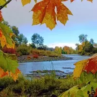 Seven Feathers Casino Resort: A Nevada-Style Gem in Oregon's Umpqua Valley