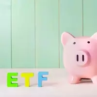 The Unsung Hero of Investing: Vanguard Total Stock Market ETF