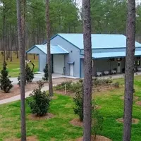 A Unique Tea Experience: Louisiana's Sole Tea Farm Offers Rural Retreats and Distinctive Brews