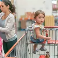 Navigating the Market: Costco's Performance and Future Prospects
