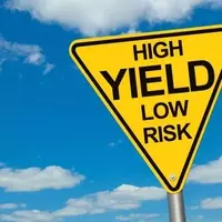 Identifying Promising High-Yield Dividend Stocks