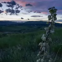 Bear Creek Lake Park: Denver's Premier Outdoor Escape for Camping, Water Sports, and Hiking