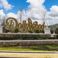 Maximize Your Dollywood Experience: Essential Tips for Efficient Park Entry