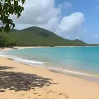 St. Croix: An Accessible Island Gem in the USVI