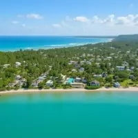 A Michelin-Star Thanksgiving Celebration in Jamaica