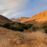 Malibu's Premier Waterfall Hike: Escondido Falls Trail