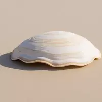 Mocrocks Beach: Washington's Serene Coastal Gem for Solitude and Shellfishing