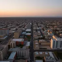 Gray Foxes: Urban Adaptations in California Cities