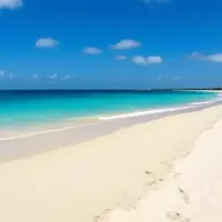 Eagle Beach: A Paradise in Aruba
