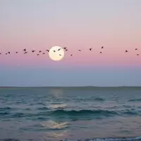 Discover Head of the Meadow Beach: Cape Cod's Hidden Gem