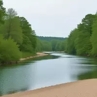 Discovering Missouri's Natural Splendor: A Journey Along the Ozark Run Scenic Byway