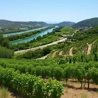 Exploring the Rhône Valley: A Budget-Friendly French Wine and Culture Destination