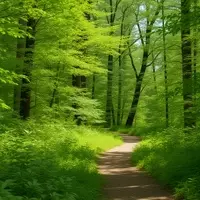 Savanna, Illinois: A Hidden Gem for Outdoor Enthusiasts
