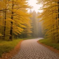 Kumbrabow State Forest: A Mountainous Retreat in West Virginia