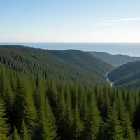 Orick: California's Coastal Gem Amidst Redwood Giants