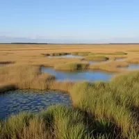 Jennings, Louisiana: A Hidden Gem for Americana and Wildlife Encounters