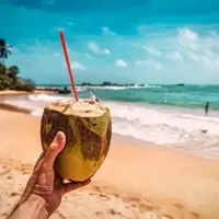 Vita Coco: Can This Beverage Challenger Replicate Monster Beverage's Phenomenal Growth?