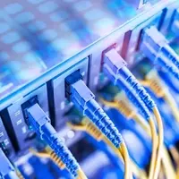 The Remarkable Growth of Applied Digital: A Case Study in Strategic Transformation