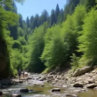 New York's Hidden Camping Gorge: A Wonderland of Cliffs, Creeks, and Waterfalls