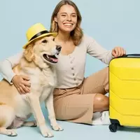 Italy Leading the Way in Pet-Friendly Air Travel with New Large Dog Cabin Policy