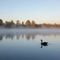 Lake Seminole: A Freshwater Haven for Anglers and Boaters on the Florida-Georgia Border