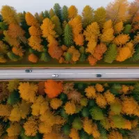 Discovering Tennessee's Hidden Autumnal Splendor: The Ocoee Scenic Byway
