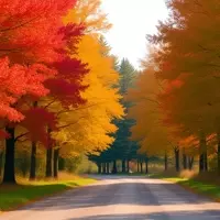 Lake Champlain Byway: A Scenic Drive Through Adirondack's Autumn Splendor