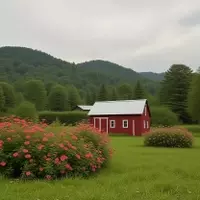 A Luxurious Escape to Woodstock Inn & Resort: Vermont's Hidden Gem