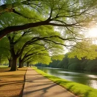 Townsend Park: A Century-Old Woodland Oasis in Michigan