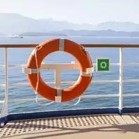 Maritime Altruism: Cruise Ships' Inherent Rescue Mandate