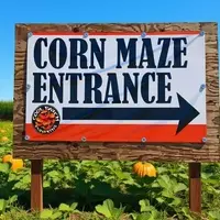 California's Hidden Autumn Gem: A New England-Style Corn Maze Experience
