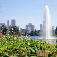 Echo Park Lake: A Verdant Oasis in Urban Los Angeles