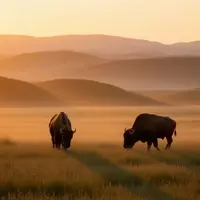 Experience Rustic Charm: Cedar Pass Lodge in Badlands National Park