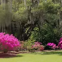 New Iberia: A Hidden Gem in Louisiana