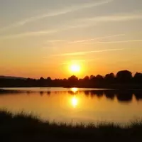 Discover Youngsville: Louisiana's Hidden Gem for Outdoor Adventures and Culinary Delights