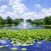 Maitland: Central Florida's Gem for History, Art, and Culinary Delights