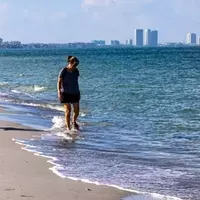 Discovering the Untouched Beauty of Florida's Gulf Coast: Lover's Key State Park