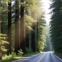 Garberville: A Unique Northern California Retreat Amidst Redwoods and Local Artistry