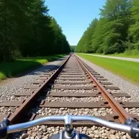 Experience Autumn Splendor on Blue Ridge Mountain Rail Bike Trails