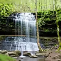 Stillhouse Hollow Falls: A Hidden Gem in Tennessee's Woodlands
