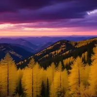 Exploring the Enchanting Aspen Vista Trail in Santa Fe, New Mexico