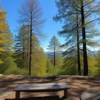 Len Foote Hike Inn: A Sustainable Retreat in Georgia's Mountains
