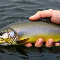 Hague: A Hidden Gem in Upstate New York for Nature Enthusiasts