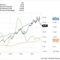 Identifying Robust Companies for Enduring Investment Returns