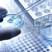Iovance Biotherapeutics: A High-Risk, High-Reward Investment Opportunity in Immunotherapy