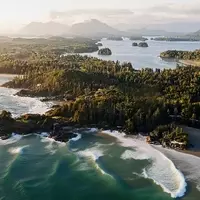 Discovering the Ancient Rainforests of Canada's Pacific Rim National Park Reserve