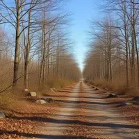 Dogtown: An Abandoned New England Settlement Transformed into a Myth-Rich Hiking Destination